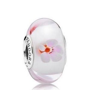 Pandora Murano Glass Charm